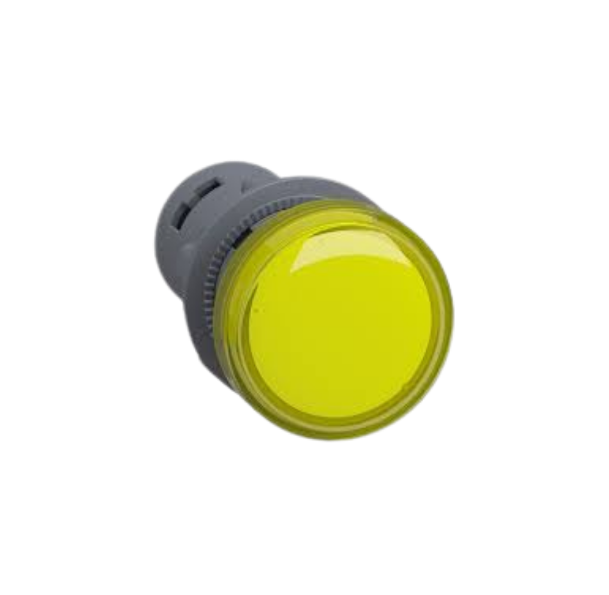 SINALIZADOR 22MM LED AM XA2EVM8LC