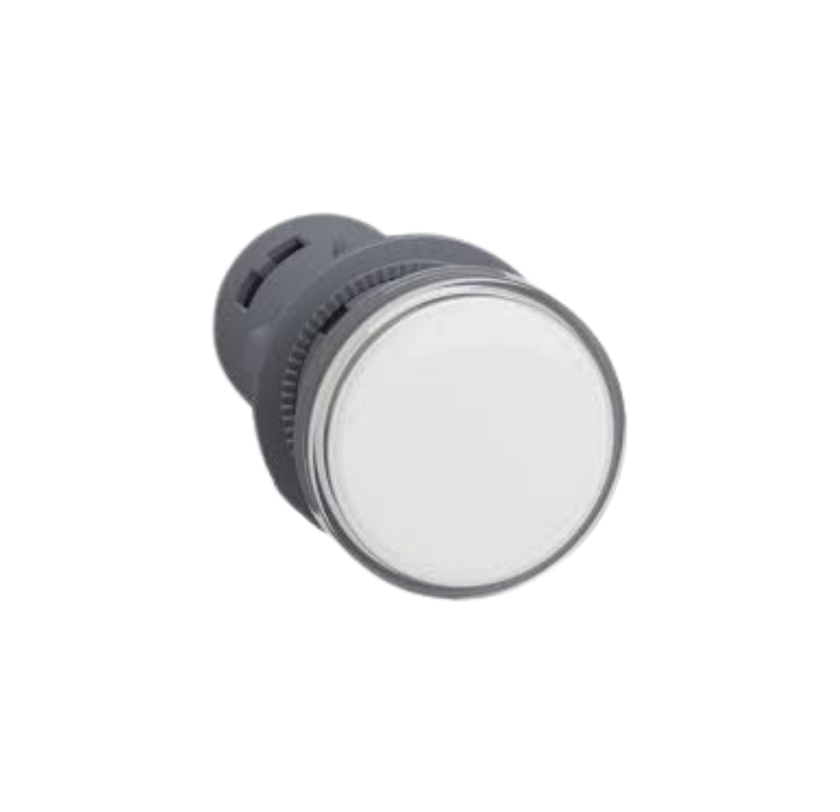 SINALIZADOR 22MM 24V LED BR XA2EVB1LC