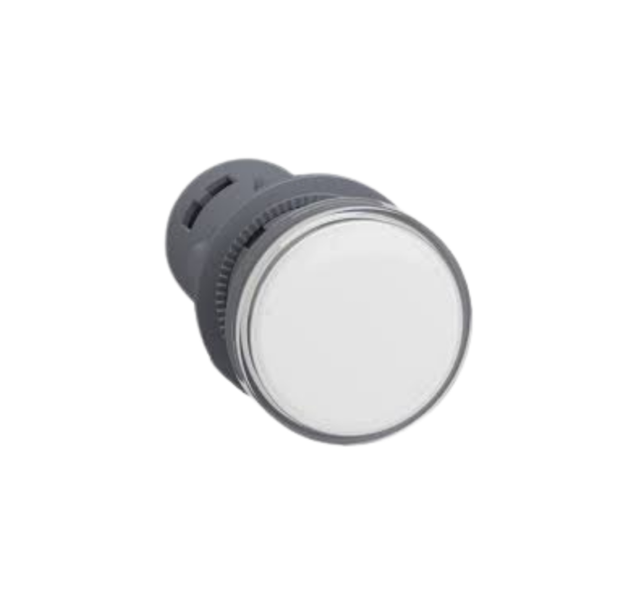 SINALIZADOR 22MM LED BR XA2EVF1LC