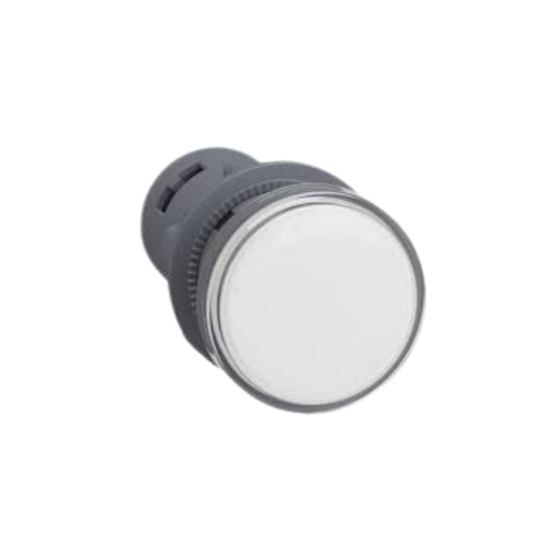 SINALIZADOR 22MM LED BR XA2EVF1LC