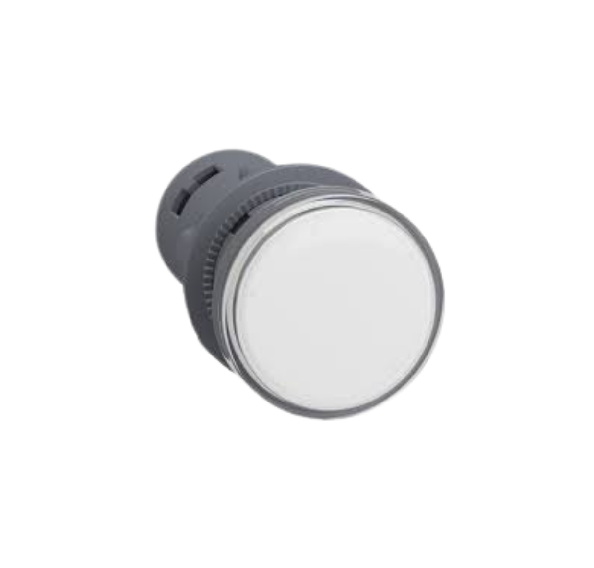 SINALIZADOR 22MM LED BR XA2EVF1LC