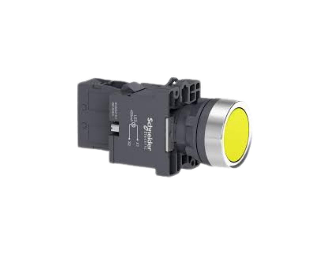 BOTAO 22MM PLASTICO ILUMINADO AM XA2EW35M1