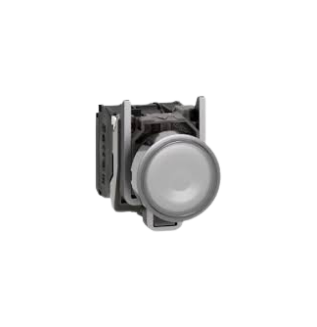 BOTAO 22MM METALICO LUMINOSO BR XB4BW31B5