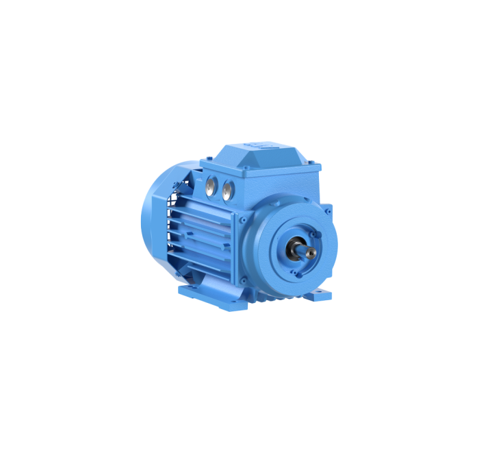 Motor Elétrico Trifásico 1,5CV/1,1kW 4 Polos