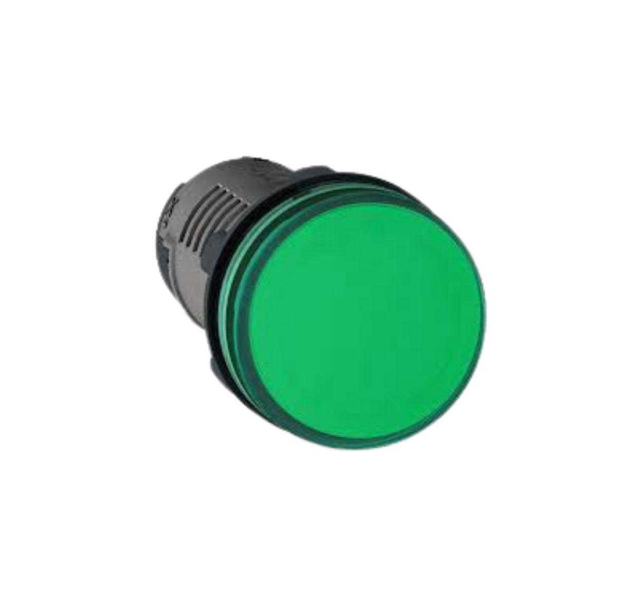 SINALIZADOR 22MM 220VAC LED VD XA2EVM3LC