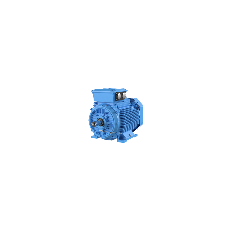 Motor Elétrico Trifásico 2CV/1,5kW 4 Polos