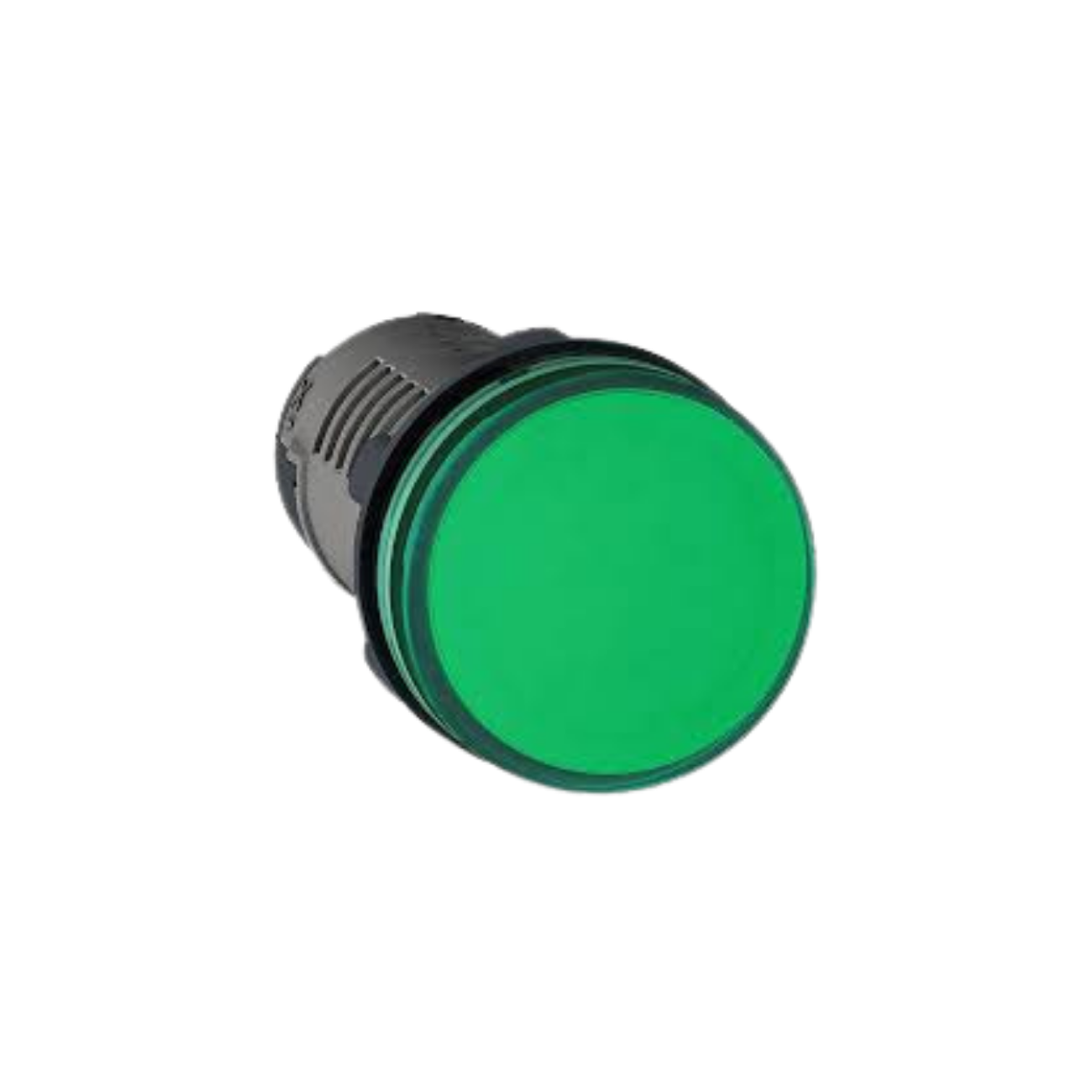SINALIZADOR 22MM 24V LED VD XA2EVB3LC