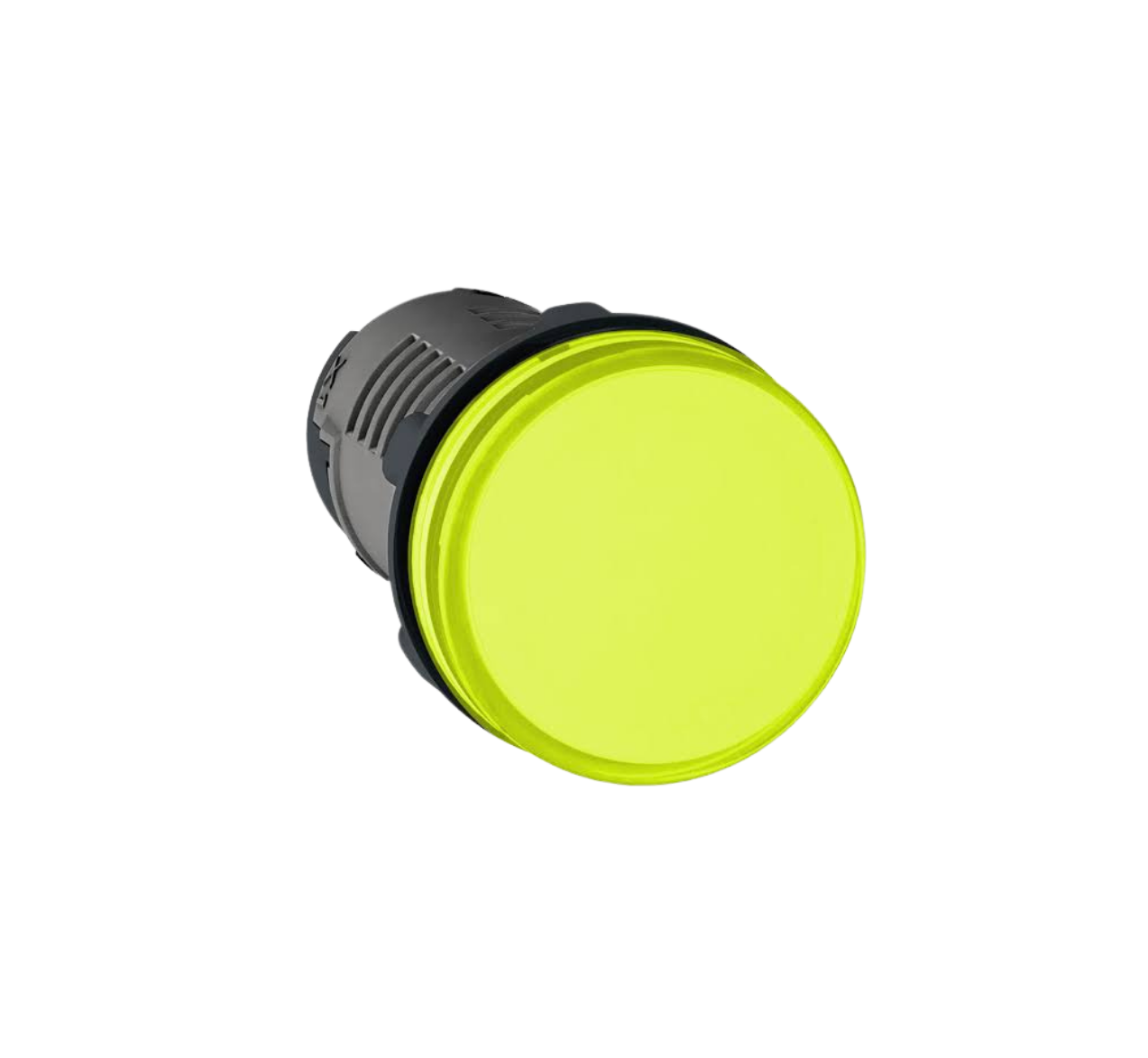 SINALIZADOR 22MM 24V LED AM XA2EVB8LC