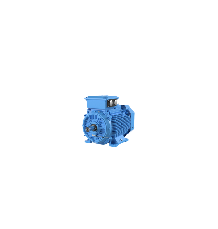 Motor Elétrico Trifásico 3CV/2,2kW 4 Polos