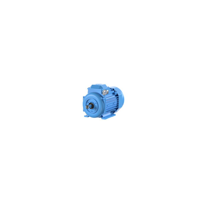 Motor Elétrico Trifásico 20CV/15kW 4 Polos