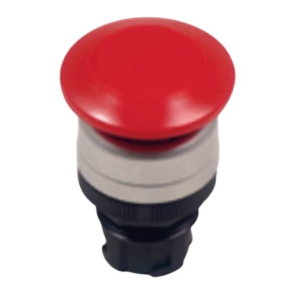 Botao 22,0Mm² C2 36/03+E111 Naf 12805103